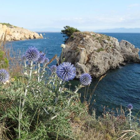 Apartamento Punta Montgo Port De Rei L' Escala Luaran gambar